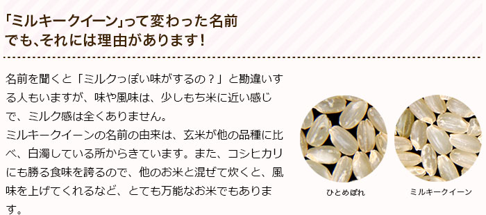 「ミルキークイーン」って変わった名前
でも、それには理由があります!
名前を聞くと「ミルクっぽい味がするの?」と勘違いする人もいますが、味や風味は、少しもち米に近い感じで、ミルク感は全くありません。
ミルキークイーンの名前の由来は、玄米が他の品種に比べ、白濁している所からきています。また、コシヒカリにも勝る食味を誇るので、他のお米と混ぜて炊くと、風味を上げてくれるなど、とても万能なお米でもあります。