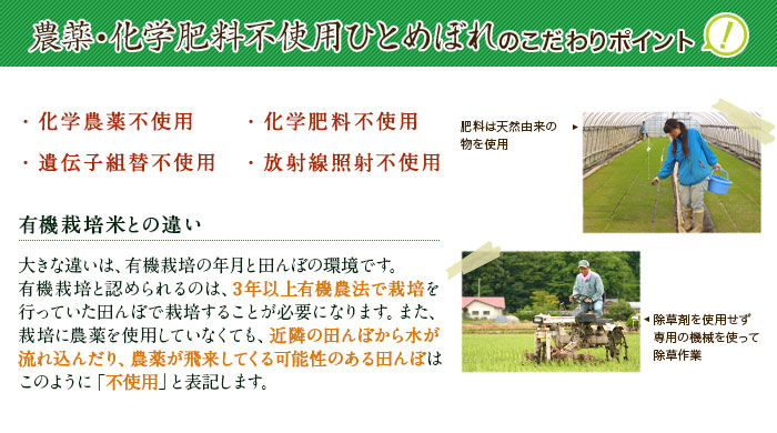 農薬・化学肥料不使用ひとめぼれのこだわりポイント
・化学農薬不使用
・化学肥料不使用
・遺伝子組替不使用
・放射線照射不使用
(肥料は天然由来の物を使用。除草剤を使用せず専用の機械を使って除草作業)
有機栽培米との違い
大きな違いは、有機栽培の年月と田んぼの環境です。有機栽培と認められるのは、3年以上有機農法で栽培を行っていた田んぼで栽培することが必要になります。また、栽培に農薬を使用していなくても、近隣の田んぼから水が流れ込んだり、農薬が飛来してくる可能性のある田んぼはこのように「不使用」と表記します。